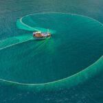 Overpesca: Ancaman terhadap kekayaan lautan, mata pencaharian
