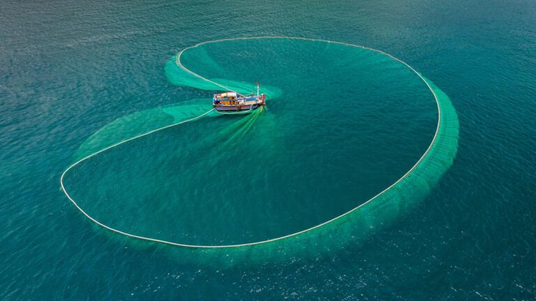 Overpesca: Ancaman terhadap kekayaan lautan, mata pencaharian