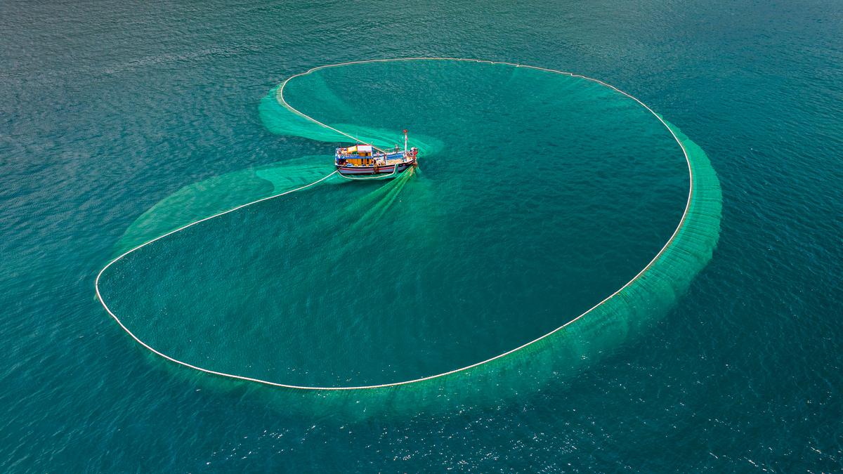 Overpesca: Ancaman terhadap kekayaan lautan, mata pencaharian